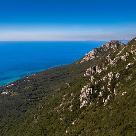 Artemis Prasoudi Beach Halikounas Exteriör bild